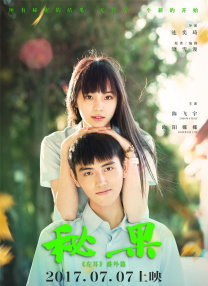p站是什么平台